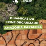 Dinâmicas do crime&hellip;