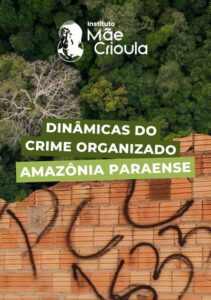 Dinâmicas do crime organizado na Amazônia paraense: conflitos, violações e redes de proteção nas relações campo-cidade